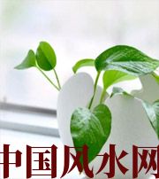 铜川家中摆放六种吉祥物，会打开您的财运大门！